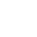 rabbit illustration