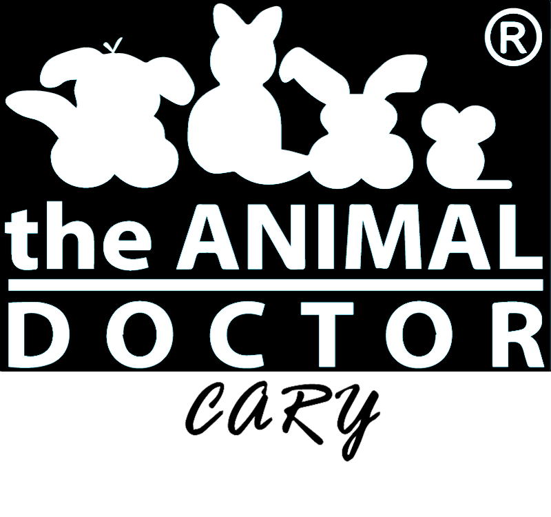 the animal doctor logo