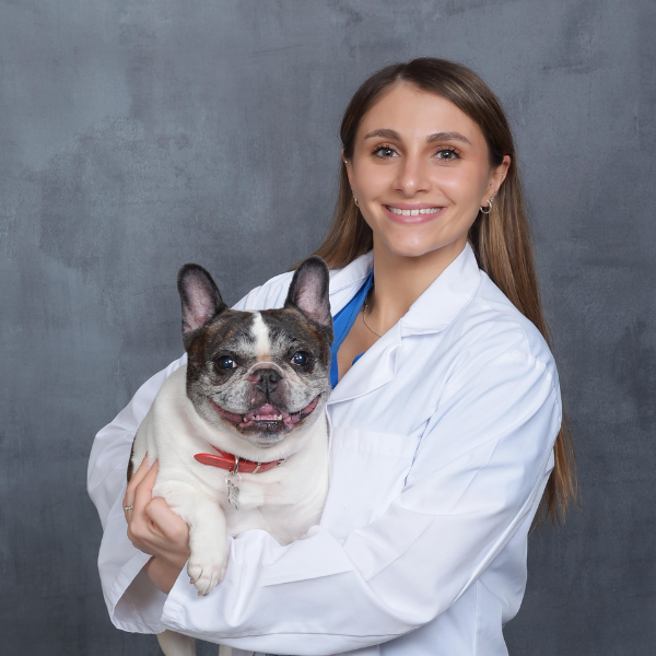 Dr. Mormino
